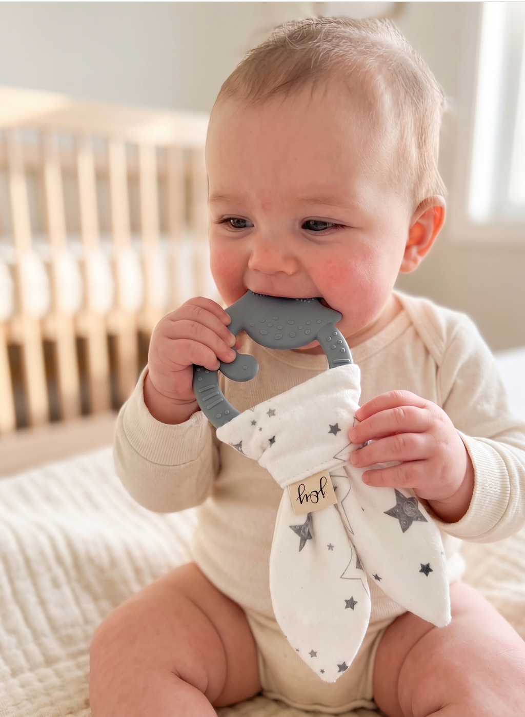 Teething Ring – Dino