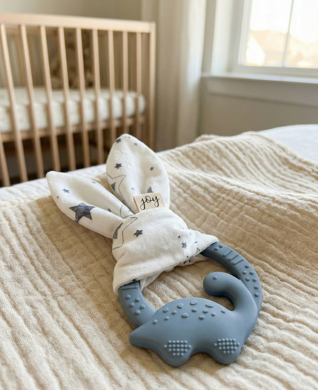 Teething Ring – Dino